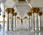 Principele Radu la Abu Dhabi Emiratele Arabe Unite (1) jpeg