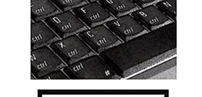 <b>La Repubblica</b>: Cenzura de pe internet. Riscuri şi în Occident