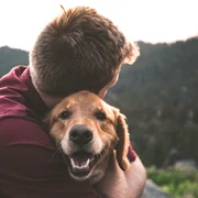 caine Foto Ilegis jpg