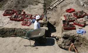 Deși fântâna a fost cercetată în 2008, arheologii au studiat scheletele abia recent pentru a încerca să afle de ce au murit (© Slavica Filipović, Muzeul Arheologic Osijek / Arheološki muzej Osijek)