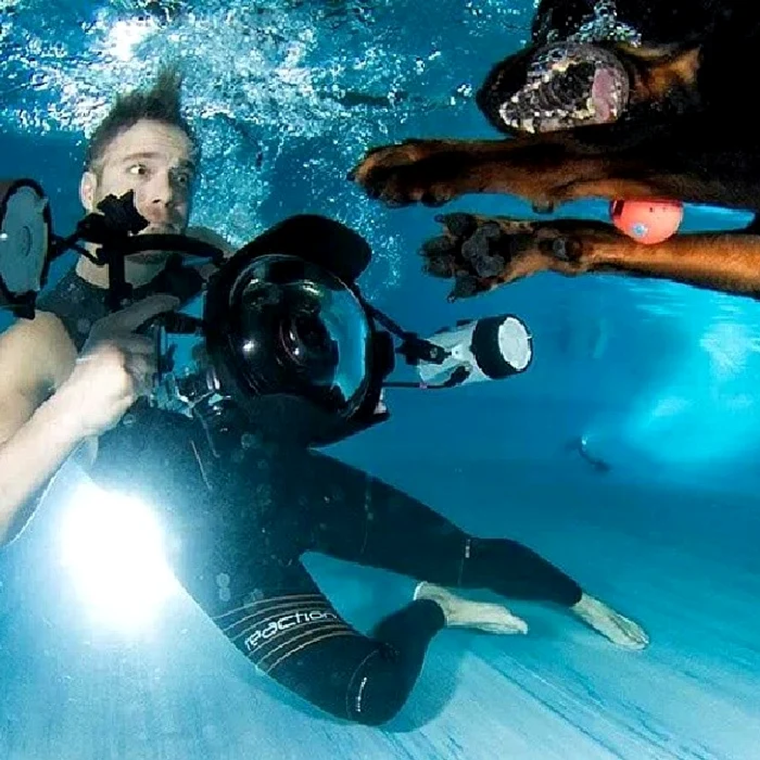 Seth Casteel când realizează aceste fotografii inedite