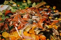 Mâncare aruncată risipă alimentară Foto Restograf