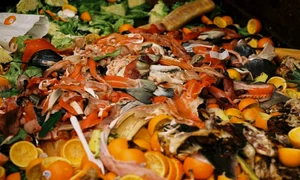 Mâncare aruncată risipă alimentară Foto Restograf