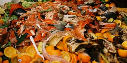 Mâncare aruncată risipă alimentară Foto Restograf