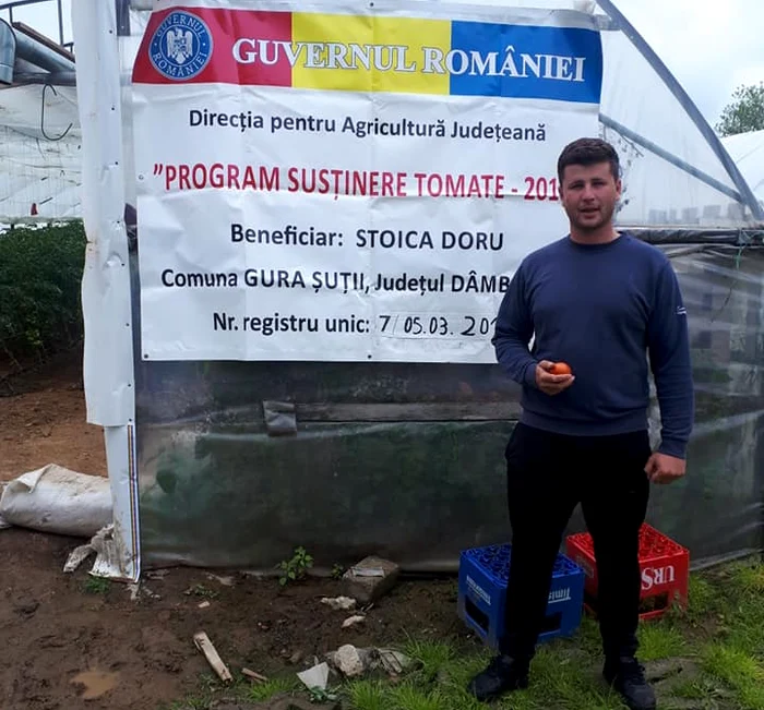 Roșiile preferate de români. FOTO Doru Stoica / Facebook