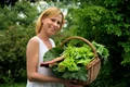 tipa salata verde shutterstock 44019709 0 jpeg