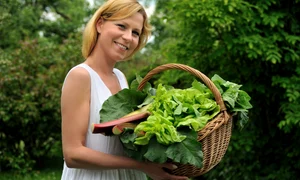 tipa salata verde shutterstock 44019709 0 jpeg