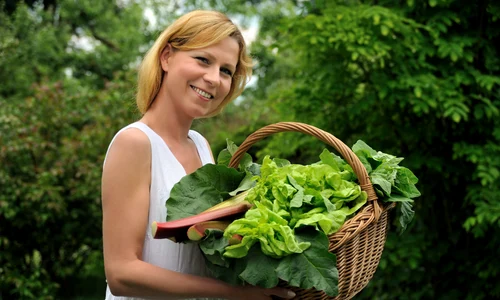 tipa salata verde shutterstock 44019709 0 jpeg