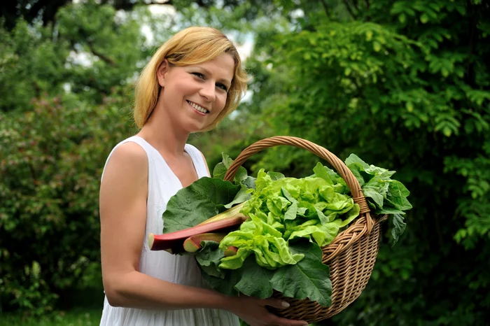 Cum să păstrezi salata verde proaspătă câteva săptămâni / Foto: Shutterstock