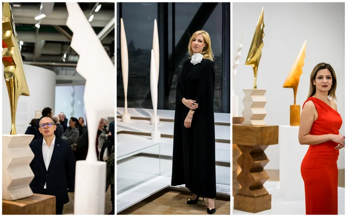 Florin Negruțiu, Sonia Argint, Amalia Enache, Expoziție Retrospectivă Brâncuși - Centrul Pompidou