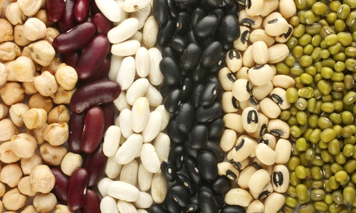 1 glanda tiroida jpg jpeg