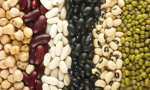 1 glanda tiroida jpg jpeg