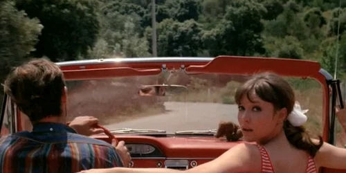 Pierrot Le Fou 