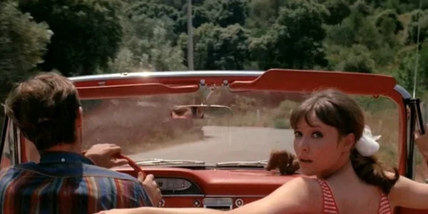 Pierrot Le Fou 