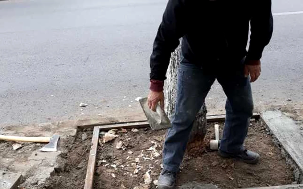 Muncitorii au mutilat pomii pentru că încurcau grătarele pe care le montau FOTO Facebook/Costel Balalau