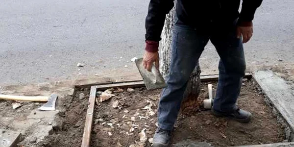 pomi mutilaţi slatina