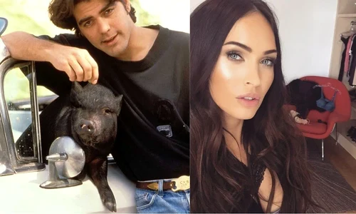 Untitled collage jpeg