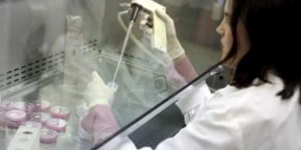 VIDEO UPDATE Trafic cu ovule: trei persoane au fost arestate