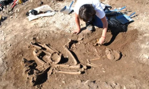 Încă un mormânt din epoca bronzului a fost descoperit în Prahova jpeg