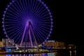 ain dubai shutterstock jpg