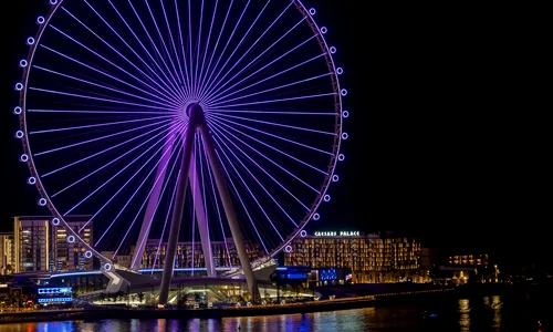 ain dubai shutterstock jpg