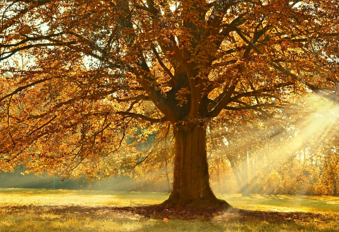 În weekend, vor fi și 30 de grade / foto: Pixabay
