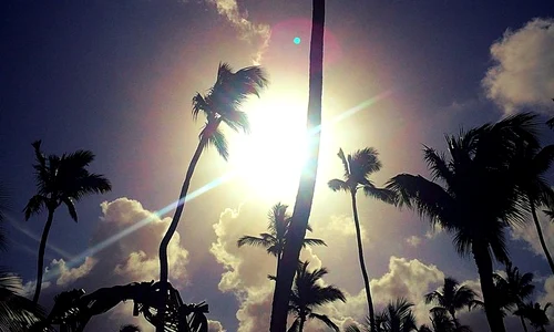 10896918 10204829285668635 6327262971668756870 n jpeg