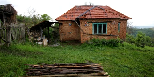 mosoru foto daniel guta 