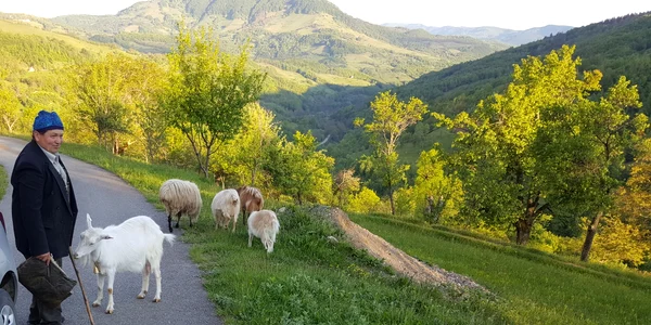 Blăjeni Foto Danel Guță (3) jpg
