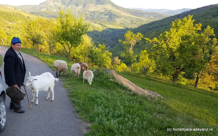 Oamenii duc o viață simplă în comuna Blăjeni. Foto: Daniel Guță