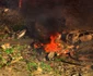 Explozie devastatoare la o fabrică de explozibili din Tennessee FOTO: X