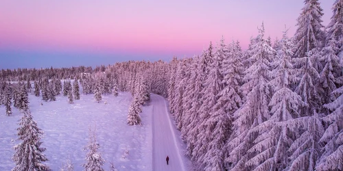 Iarna Foto Freepik com jpg