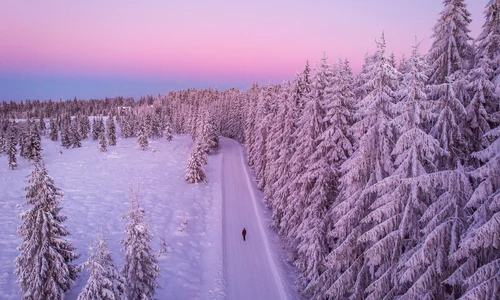 Iarna   Foto Freepik com jpg