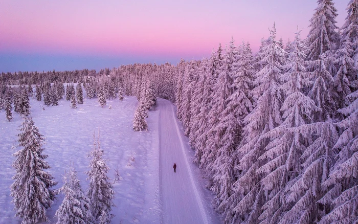 Iernile cu zăpadă vor fi tot mai rare. Foto: Freepik.com