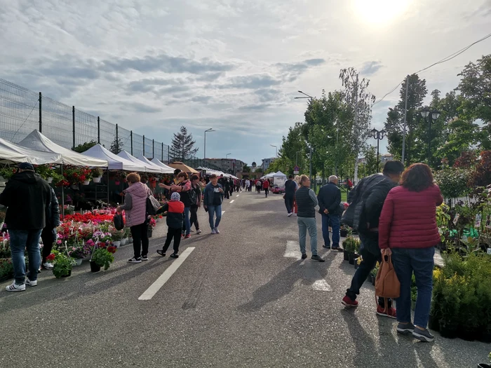Evenimentul de la Slatina a adunat și acesta peste 50 comercianți FOTO: A. M.