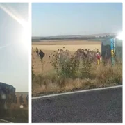 Accident autocar FOTO Captură video 
