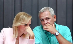 gabriela firea liviu dragnea jpeg