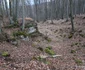 Magura Călanului Foto Daniel Guță ADEVĂRUL (39) JPG