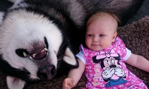 husky si bebe mpm husky baby best friends 05 0 jpeg