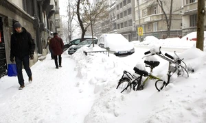 Viaţa în iarnă jpeg