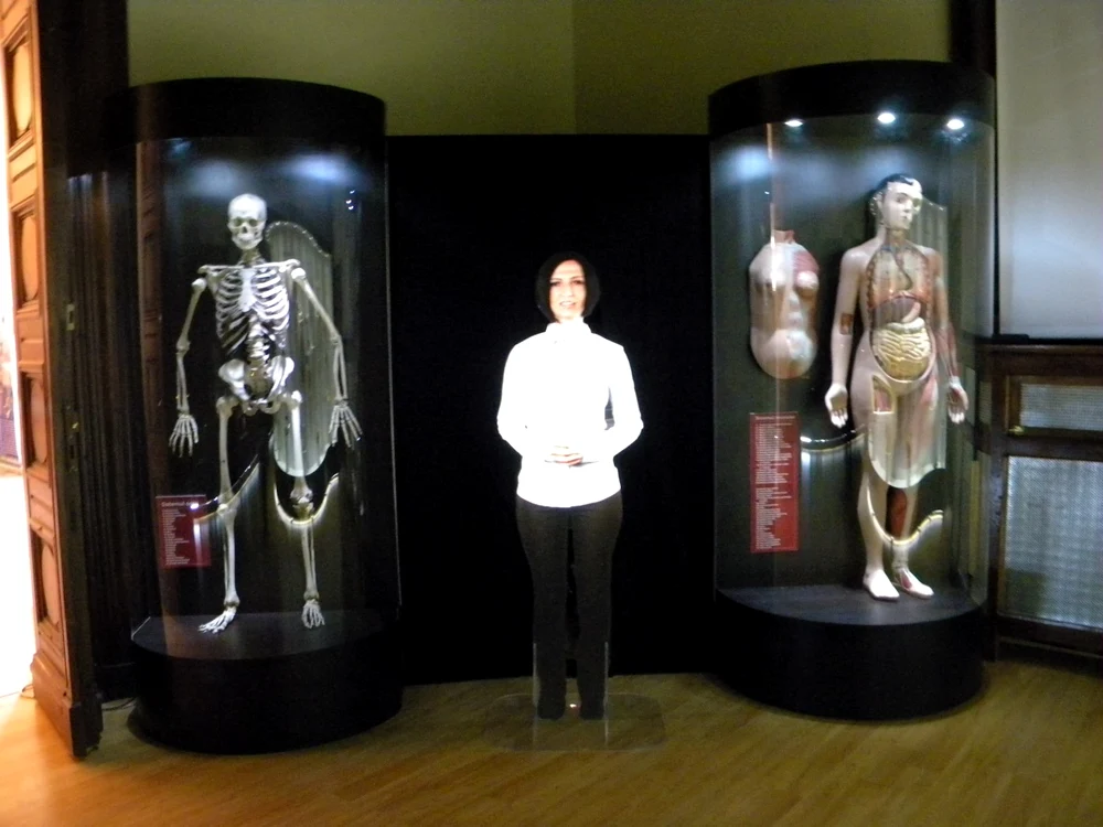 O hologramă 3 D prezintă la „Muzeul Omului din Ploieşti“ funcţiile corpului uman, într-o expunere grafică modernă. FTO Dana Mihai