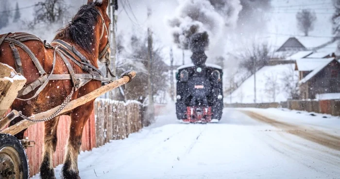 Fotografie realizată de Cătălin Urdoi. FOTO Cătălin Urdoi