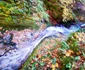 Cascada din Valea Rea Foto Daniel Guță (4) jpg