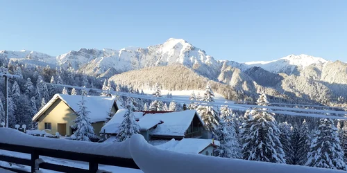 cabana predeal foto doru nicolae jpg