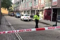 banda politie