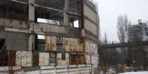 Majoritatea halelor PAL SA sunt devastate, foto Ciprian Dragomir
