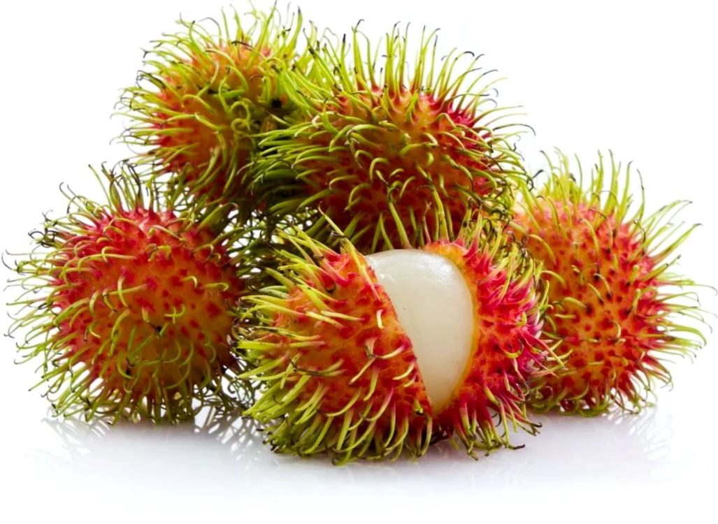 Rambutan FOTO Wikipedia
