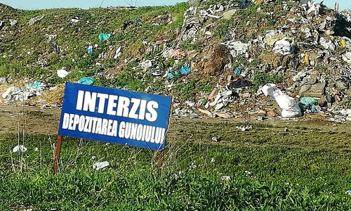 Cu ochii n 3,14 jpeg
