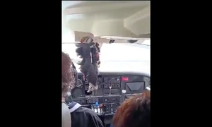 vulturul penetreaza avionul X png