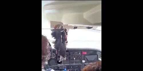vulturul penetreaza avionul X png